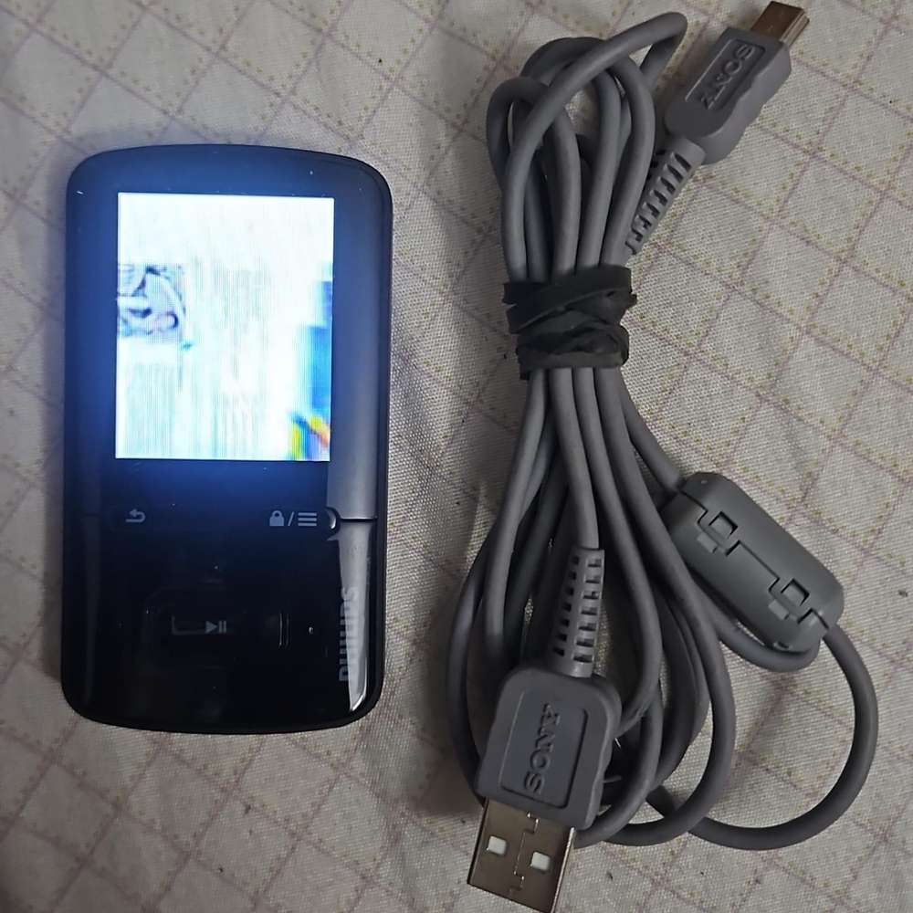 Philips GoGear Vibe 4GB Digital Media MP3 Player (working)